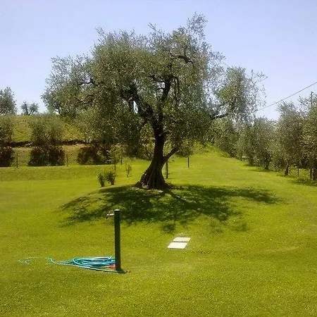 Tre Colline Bardolino